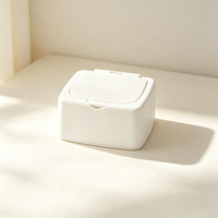 Minimalist Pop-Up Desktop Storage Box